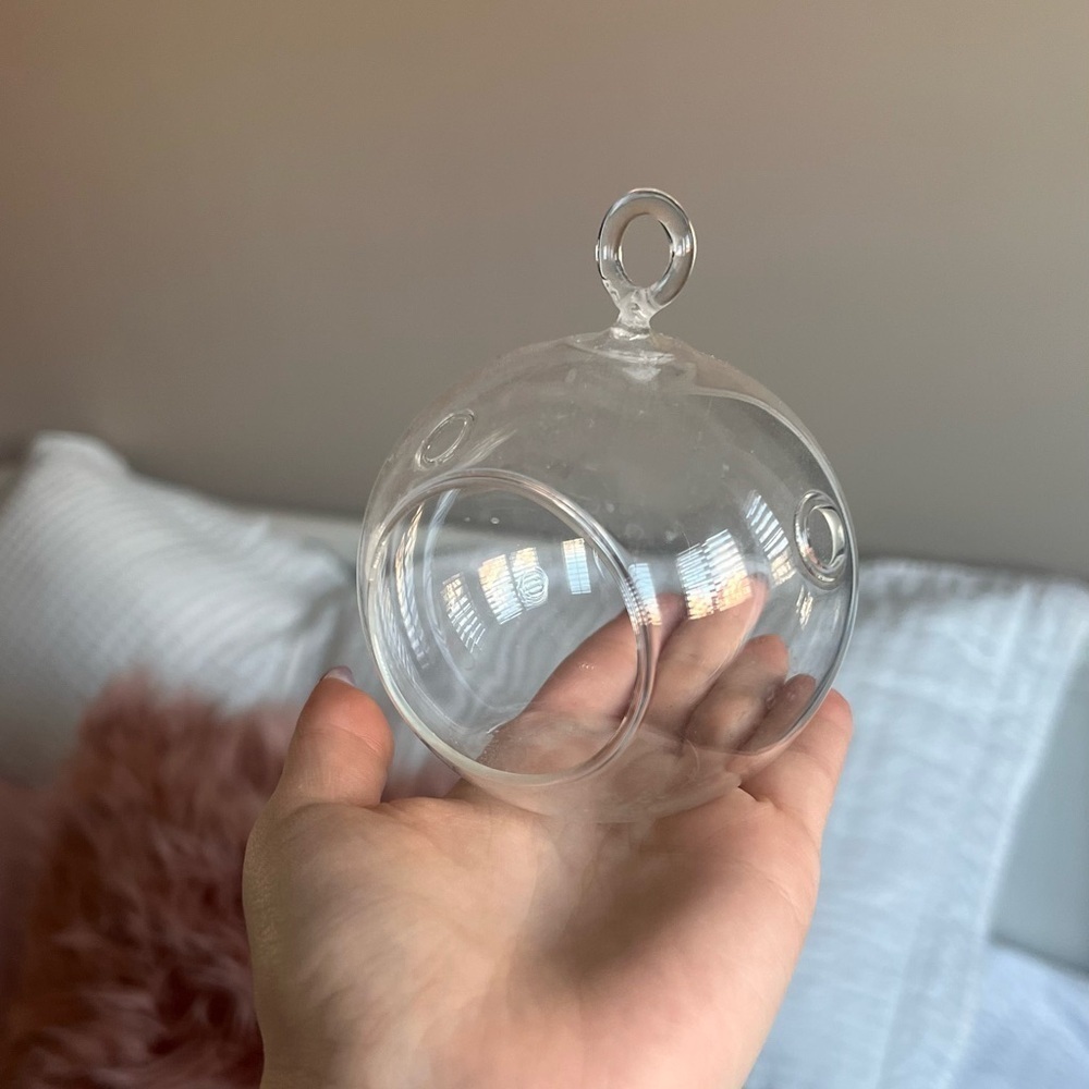 Free w purchase glass display for plants